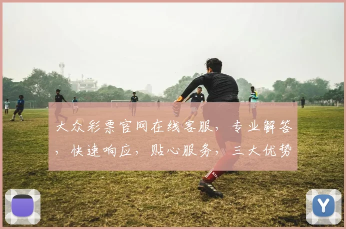 大众彩票官网在线客服，专业解答，快速响应，贴心服务，三大优势，一站搞定