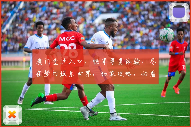 澳门金沙入口，畅享尊贵体验，尽在梦幻娱乐世界，独家攻略，必看